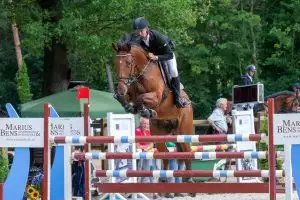 Paardenspringen met Florian Horsefood, gezond en natuurlijk paardenvoer.
