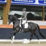 Paard met ruiter in dressuur, Florian Horsefood Powered by Nature.