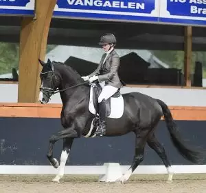 Paard met ruiter in dressuur, Florian Horsefood Powered by Nature.
