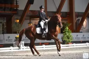 Dressuurruiter op paard tijdens wedstrijd, Florian Horsefood, natuurlijke paardenvoeding.