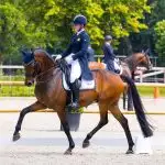Paardrijder op een dressuurpaard, Florian Horsefood, gezonde voeding.