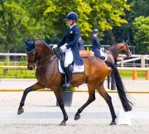 Paardrijder op een dressuurpaard, Florian Horsefood, gezonde voeding.