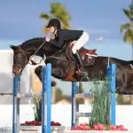 Paardenspringen met Florian Horsefood, gezond en natuurlijk paardenvoer.