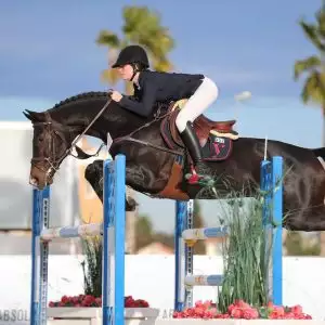 Paardenspringen met Florian Horsefood, gezond en natuurlijk paardenvoer.