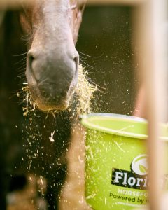 florian-horsefood-starterspakket