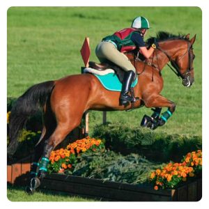 florian-horsefood-xforce-blog florian-horsefood-xforce-blog