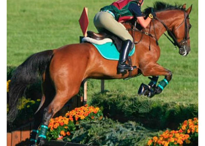 florian-horsefood-xforce-blog