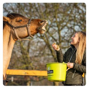 florian-horsefood-darm-in-balans-blog florian-horsefood-darm-in-balans-blog