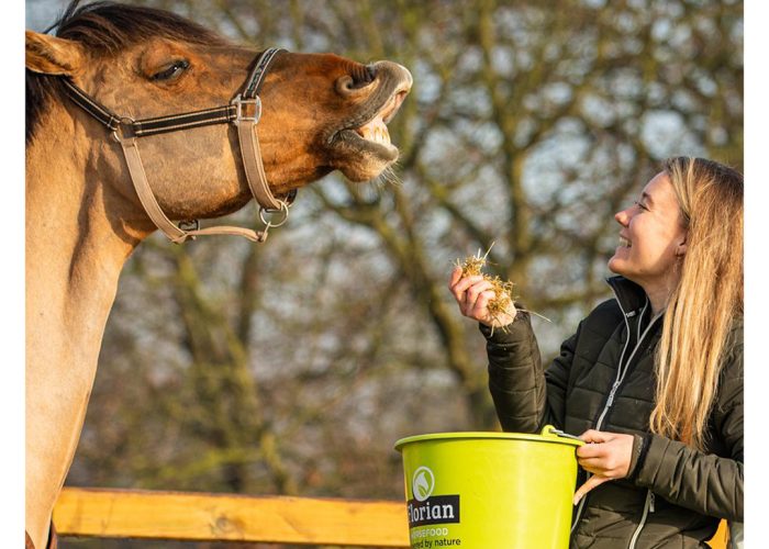 florian-horsefood-darm-in-balans-blog