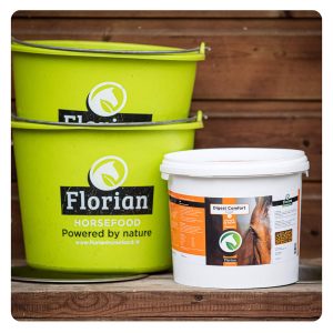 florian-horsefood-digest-comfort-blog florian-horsefood-digest-comfort-blog