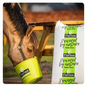 florian-horsefood-maagzweren-blog