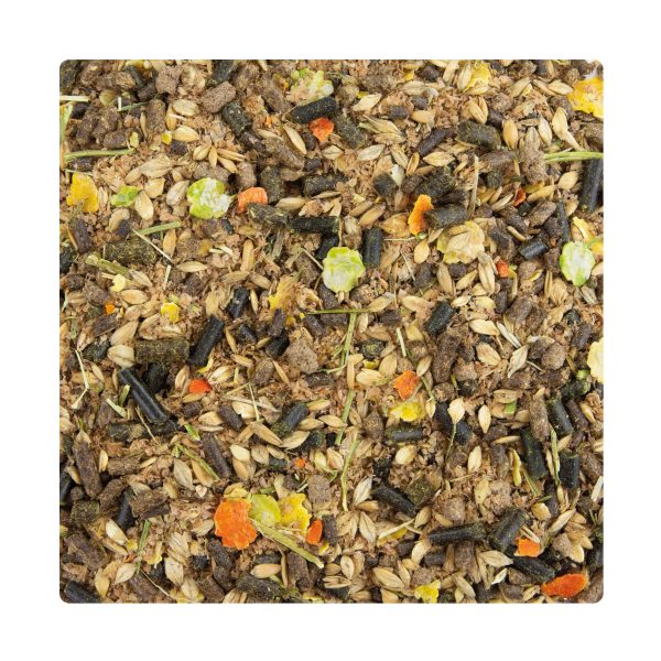 florian-horsefood-first-care-muesli