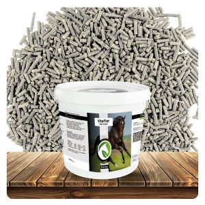 VitaFlor, Vitale darmflora