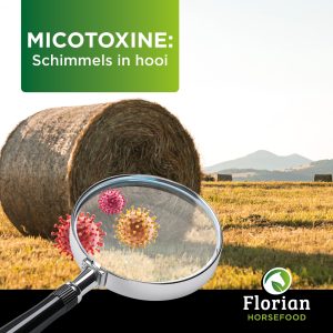 micotoxines
