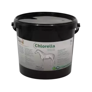 Duval Chlorella