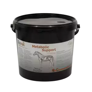 Metabolische Unterstützung