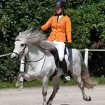 Florian Horsefood in Actie Paard in actie met ruiter, Florian Horsefood Powered by Nature.