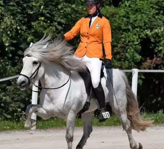 Florian Horsefood in Actie Paard in actie met ruiter, Florian Horsefood Powered by Nature.