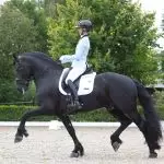 Paard en Ruiter in Actie Paard in actie met ruiter, Florian Horsefood Powered by Nature.