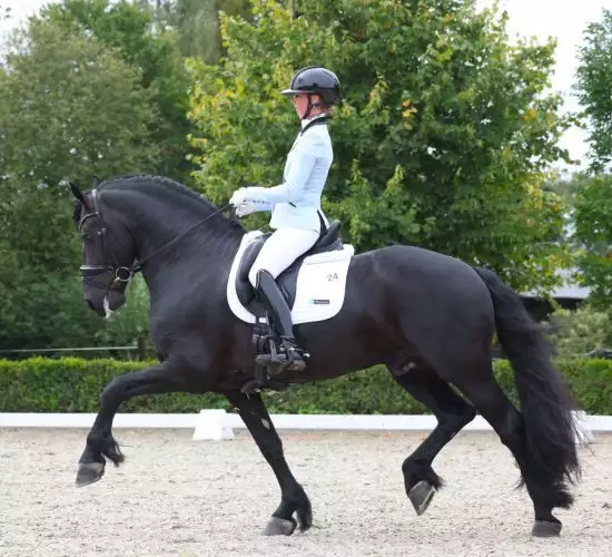 Paard en Ruiter in Actie Paard in actie met ruiter, Florian Horsefood Powered by Nature.