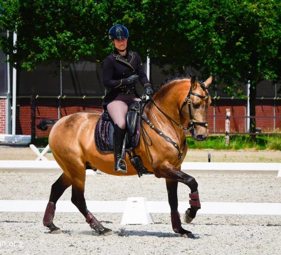 Sophie Timmer en Rik de Zwaan