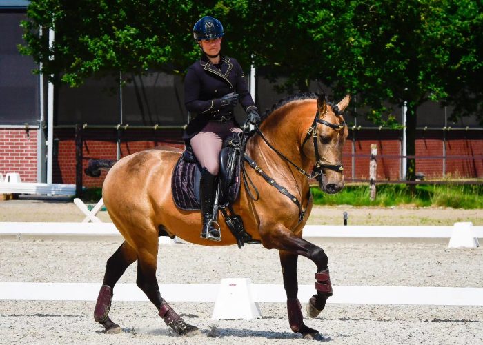 Sophie Timmer en Rik de Zwaan