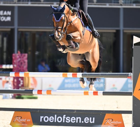 Mijn naam is Kessy van Berlo. Naast mijn fulltime baan als projectontwikkelaar run ik een springstal in Veghel. In mijn stal staan gemiddeld zes tot zeven paarden, variërend van jong tot ervaren. Ik houd me bezig met zowel het opleiden van jonge paarden als het deelnemen aan (internationale) 2* en 3* concoursen. Enkele jaren geleden ben ik begonnen met het voeren van de Basic Growth ruwvoermix. Op een gegeven moment merkte ik dat een aantal paarden wat extra’s nodig hadden, maar ik wilde niet te veel verschillende soorten krachtvoer gebruiken. Daarom ben ik overgestapt op twee soorten oerbrok, waar ik zeer tevreden over ben. Enkele maanden geleden ben ik begonnen met het uittesten van de balancers, wat ik een waardevolle aanvulling vind voor paarden die net wat extra’s nodig hebben. Ik ontvang regelmatig complimenten over de uitstraling en conditie van mijn paarden. Sinds ik Florian voer, zien mijn paarden er altijd topfit uit en blijven ze zeer constant in hun prestaties.