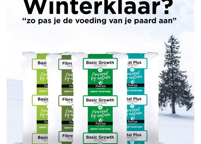 windervoeding voor je paard