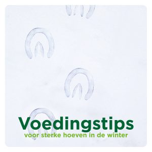 Blogs-voedingsadvies-winter-hoeven. Voedingstips voor sterke hoeven in de winter