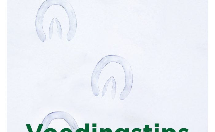 Voedingstips voor sterke hoeven in de winter