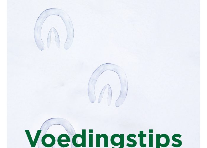 Voedingstips voor sterke hoeven in de winter