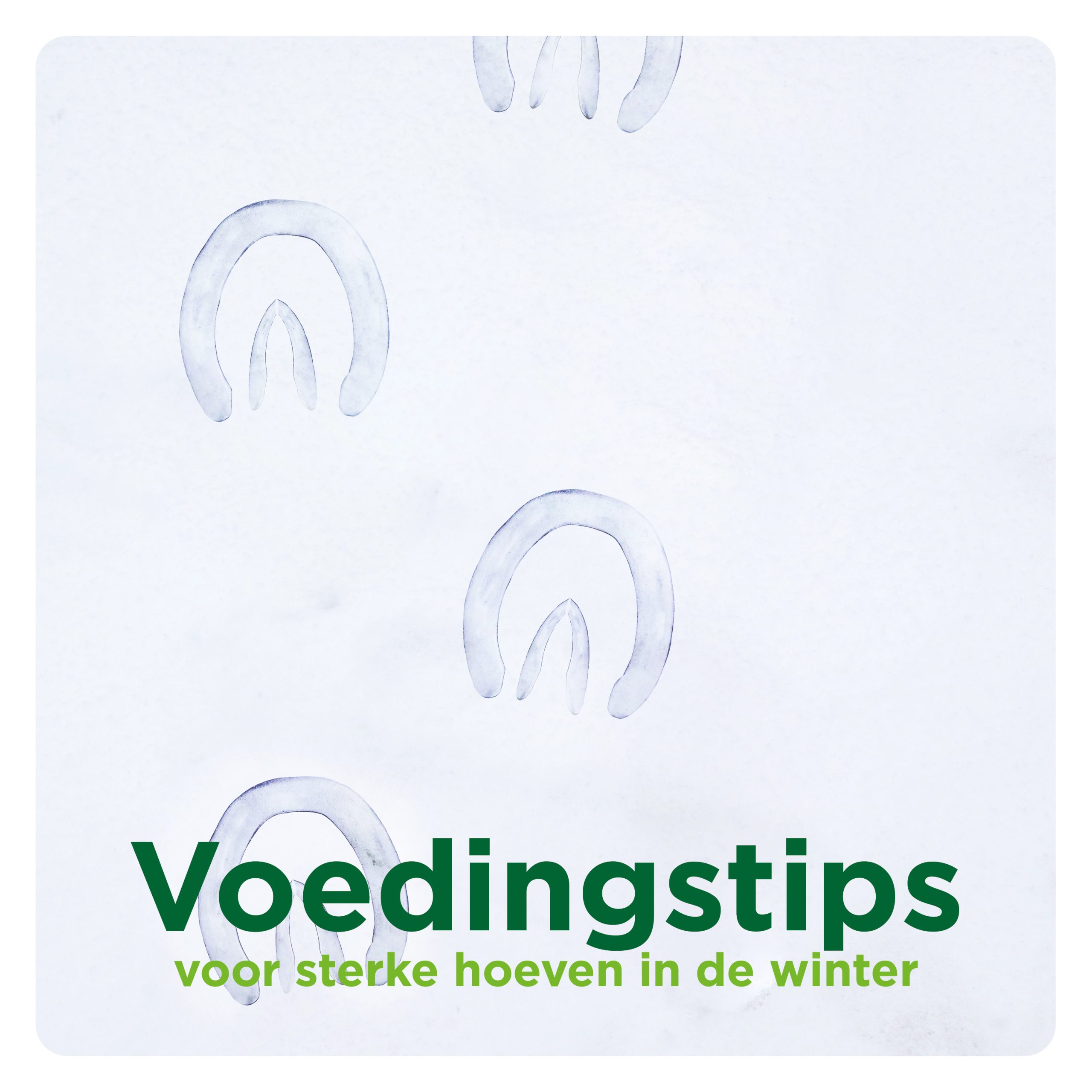 Voedingstips voor sterke hoeven in de winter