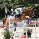 Paardenspringen met Florian Horsefood Paardenspringen met Florian Horsefood, natuurlijke voeding voor paarden.