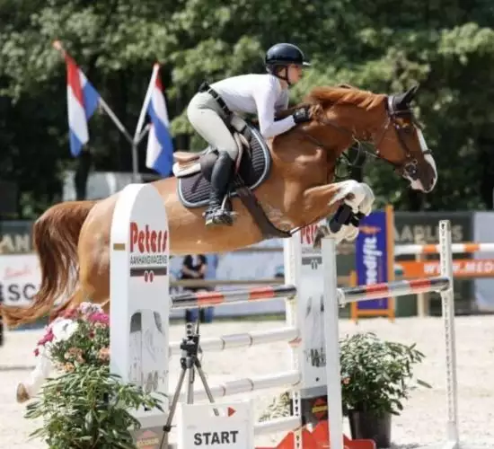 Paardenspringen met Florian Horsefood Paardenspringen met Florian Horsefood, natuurlijke voeding voor paarden.