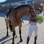 Florian Horsefood - Gezonde Voeding voor Paarden Paard met ruiter en Florian Horsefood product, gezond paardenvoer.