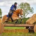 Paardensprong met Florian Horsefood Paard springt over hindernis, gevoed met Florian Horsefood, Powered by Nature.