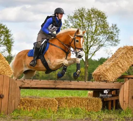 Paardensprong met Florian Horsefood Paard springt over hindernis, gevoed met Florian Horsefood, Powered by Nature.