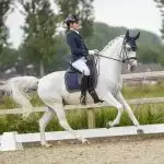 Paardrijden met Florian Horsefood Ruiter op een paard in een buitenbak, Florian Horsefood Powered by Nature.