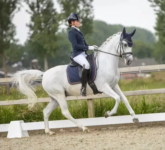 Paardrijden met Florian Horsefood Ruiter op een paard in een buitenbak, Florian Horsefood Powered by Nature.