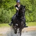Ruiter en Paard in Actie Ruiter op zwart paard in water, Florian Horsefood, natuurlijke paardenvoeding.