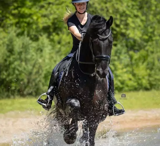 Ruiter en Paard in Actie Ruiter op zwart paard in water, Florian Horsefood, natuurlijke paardenvoeding.
