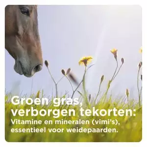 Groen Gras en Verborgen Tekorten Paard eet groen gras, Florian Horsefood natuurlijke voeding.