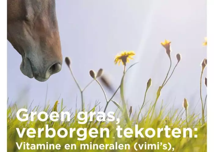 Paard eet groen gras, Florian Horsefood natuurlijke voeding.