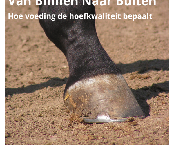 Van binnen naar buiten: hoe voeding de hoefkwaliteit bepaalt