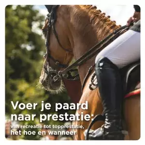 blog voeren naar prestatie