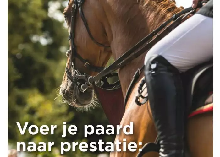 Paard met ruiter, Voer je paard naar prestatie, Florian Horsefood.