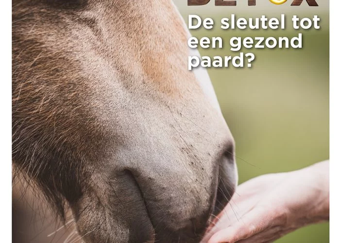 Paard eet uit hand, detox voor gezond paard, Florian Horsefood.