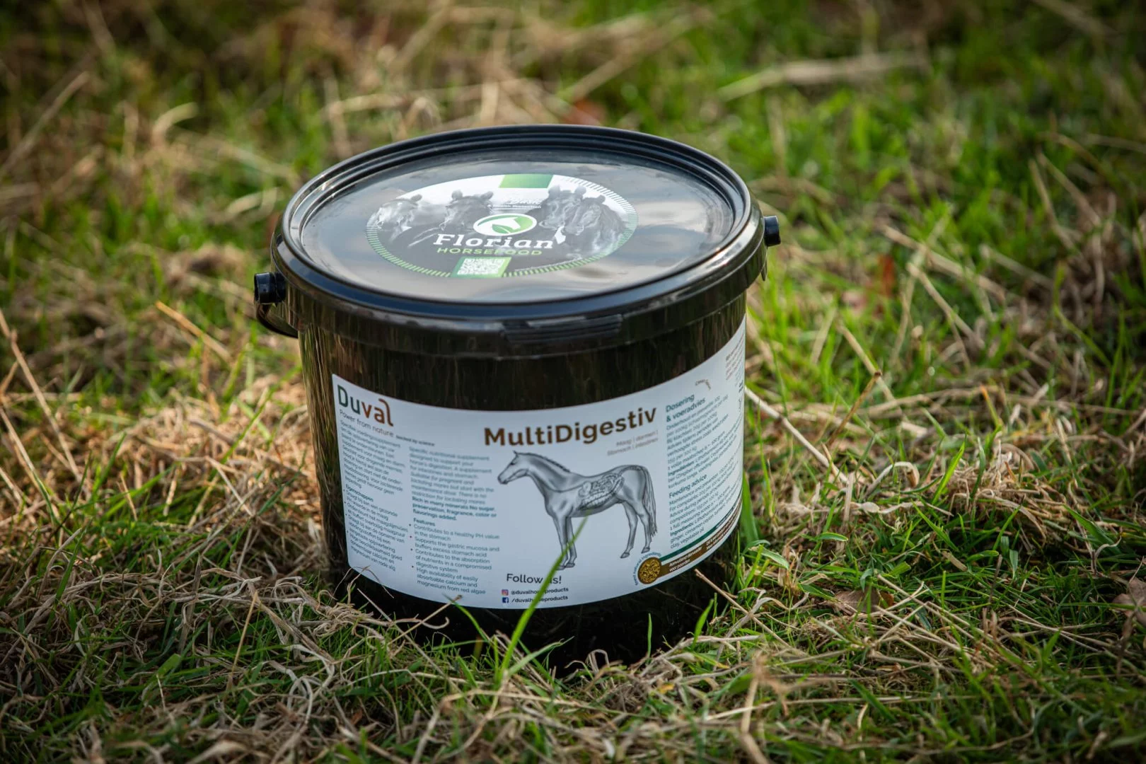 Florian Horsefood MultiDigestiv Florian Horsefood MultiDigestiv op gras, natuurlijke paardenvoeding.