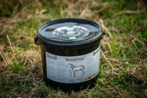 Florian Horsefood-Web-24