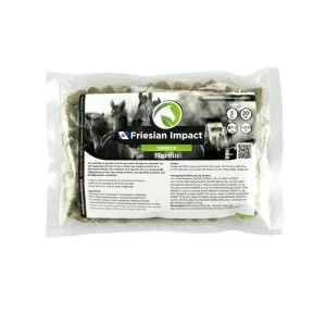 Sample Friesian Impact Oerbrok